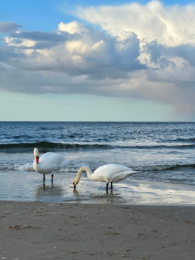 Kleine In Auf Der Insel Usedom * Heringsdorf (Usedom)
